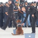 Realizan en la USJT exhibición de agrupamientos canino y montada de la SSPT